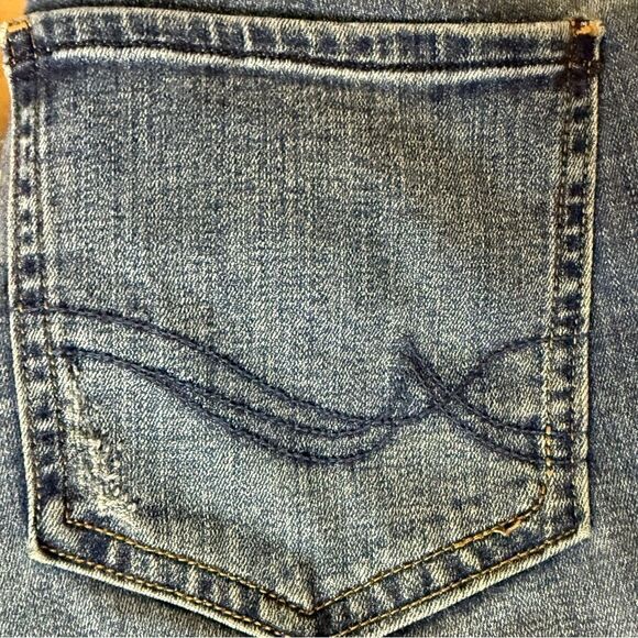 Rebel Wilson Rebel Angels The Pin Up Skinny Jean, 20W Medium Blue Whisker Wash - Picture 11 of 13